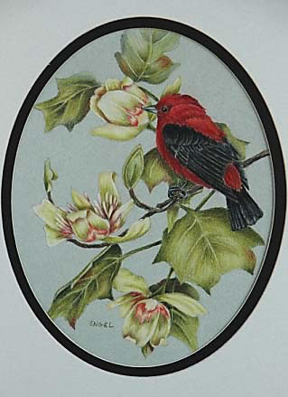 Betty Engel